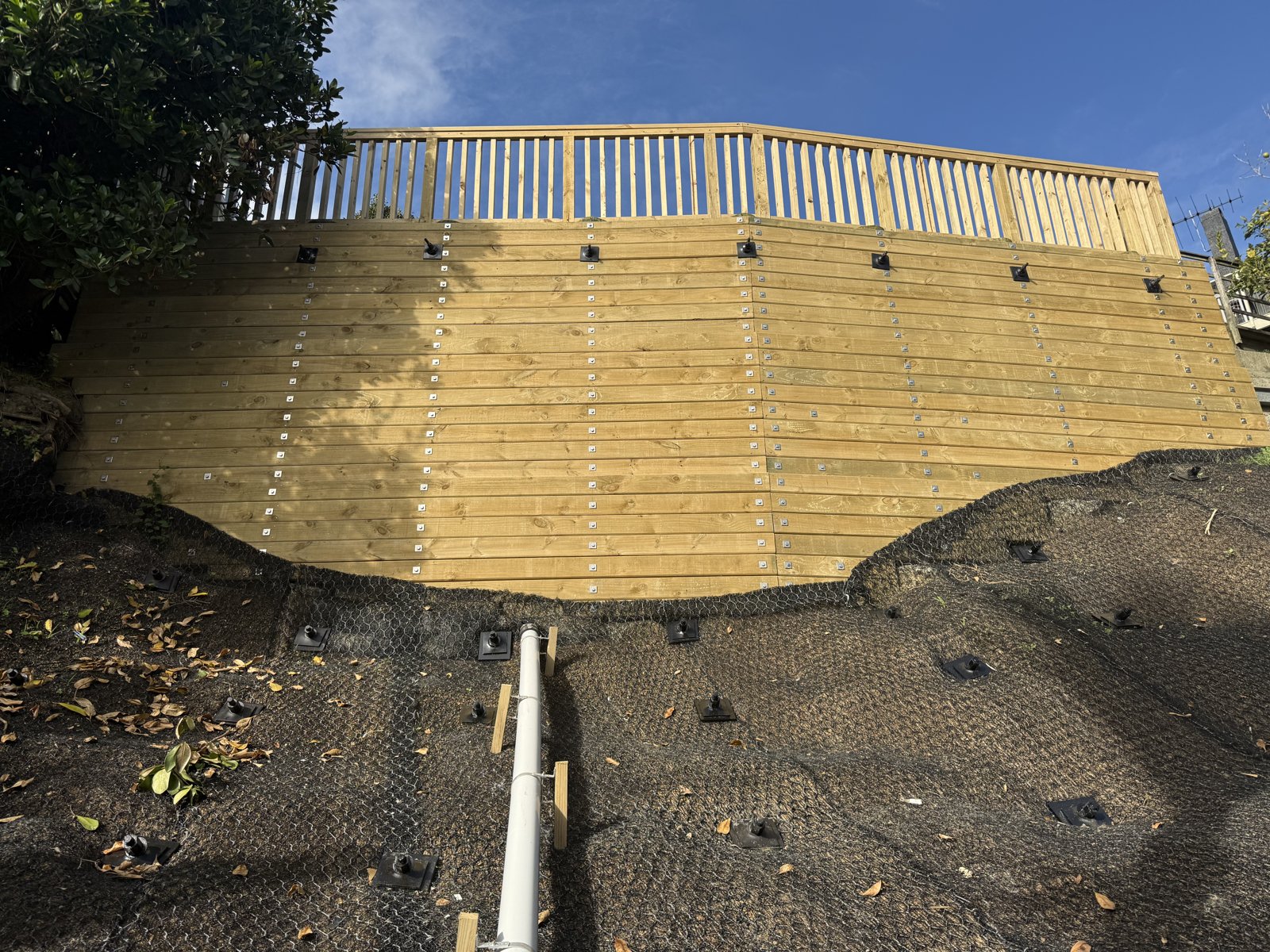 Anchored timber pole wall and soil nail slope stabilisation at Shore Road